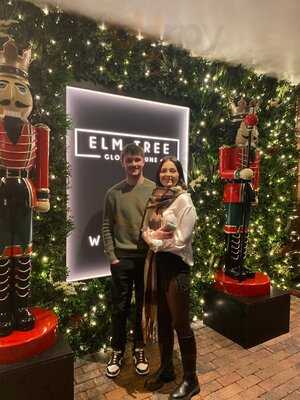 The Elm Tree