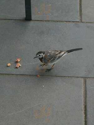 Marks And Spencer Cafe