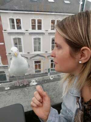 Marks And Spencer Cafe