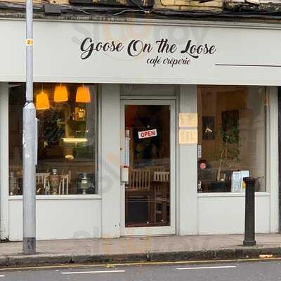 A Goose On The Loose