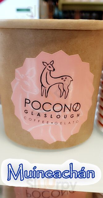 Pocono
