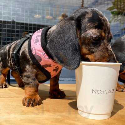 Nomad Coffee Bar