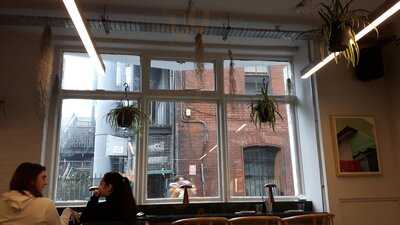 Lucky Tortoise Temple Bar