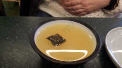 Lucky Tortoise Temple Bar