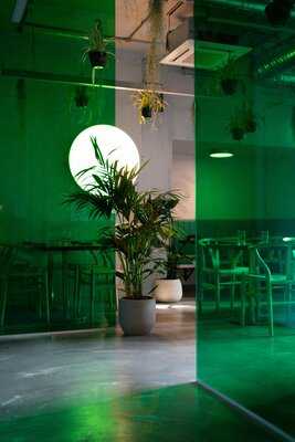 Lucky Tortoise Temple Bar