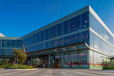 Hogs & Heifers Liffey Valley