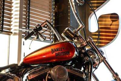 Hogs & Heifers Liffey Valley