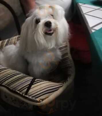 Foto 50282066