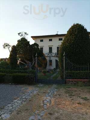 Foto 56651694