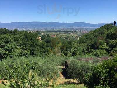 Foto 49270323