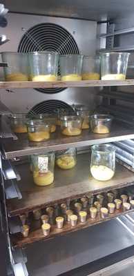 Foto 60980421