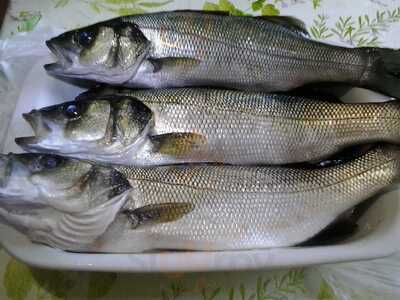 Foto 60987546