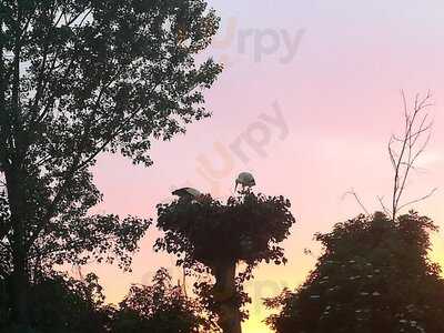 Foto 57017080