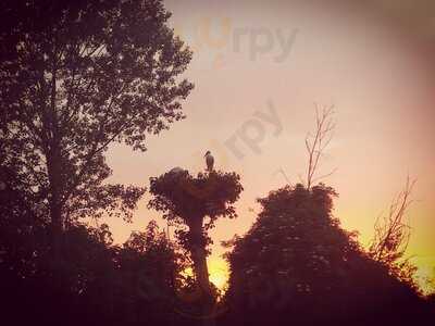 Foto 57017087