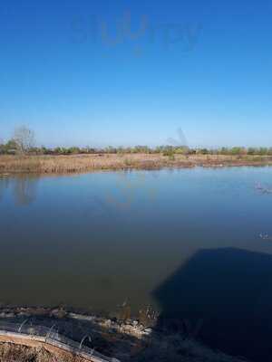 Foto 57017108