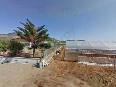 Foto 60995060