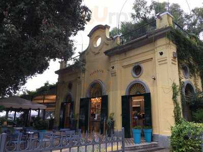 Foto 49105006