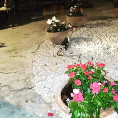 Foto 61053355