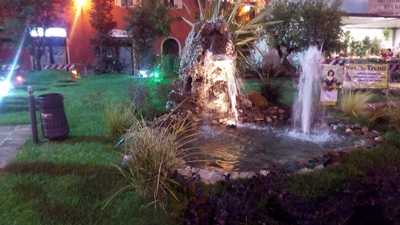 Foto 61066913