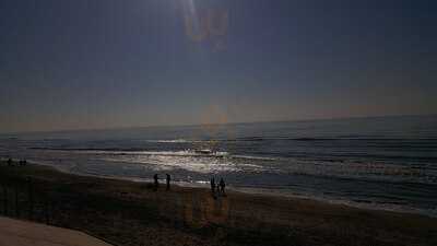 Foto 61091808
