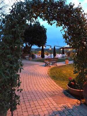 Foto 57079203