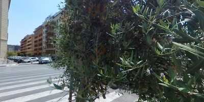 Foto 61095471