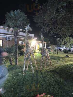 Foto 56608264