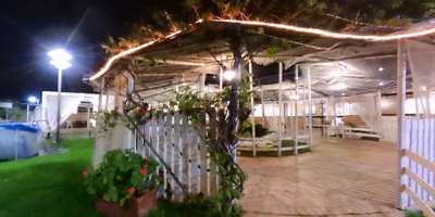 Foto 61115095