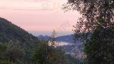 Foto 68512279