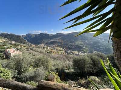 Foto 61118567