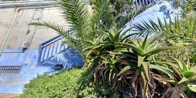 Foto 68512779