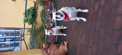 Foto 56746568
