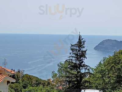 Foto 61132870