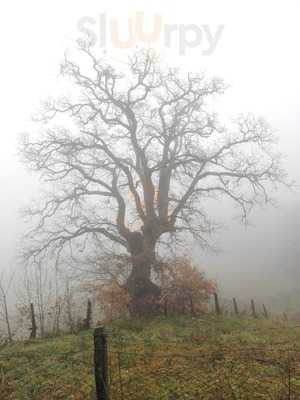 Foto 68525555