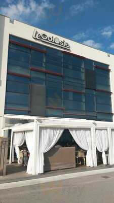 Foto 57141787