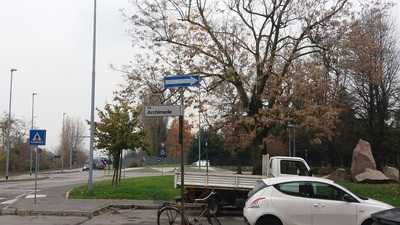 Foto 61152185