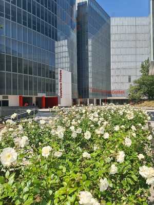 Foto 61160065
