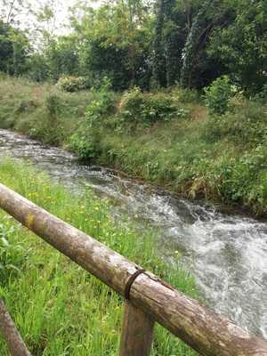 Foto 61164945