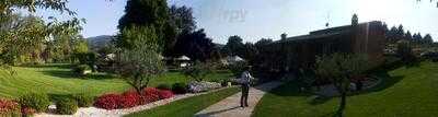 Foto 56888784