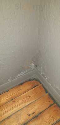 Foto 55755455