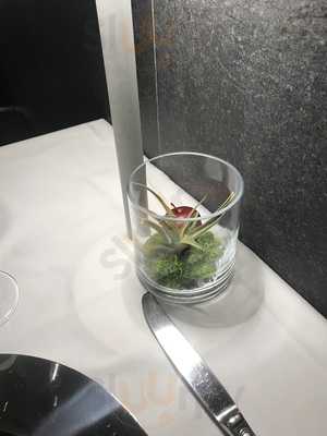 Foto 61182778