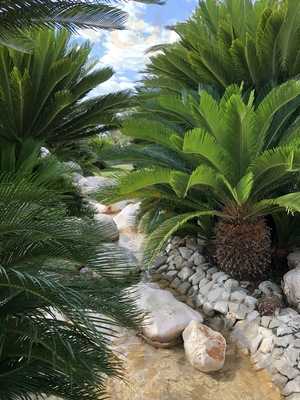 Foto 61185681