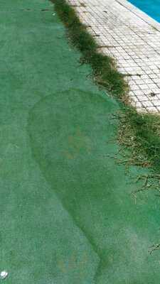 Foto 56771906