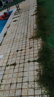 Foto 56771913