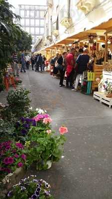 Foto 61227041