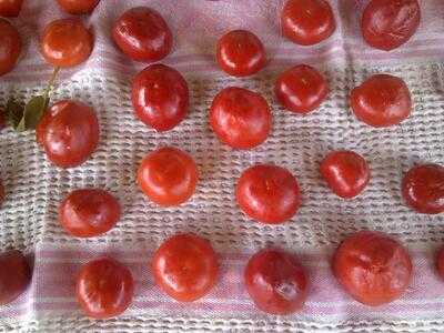 Foto 57341734