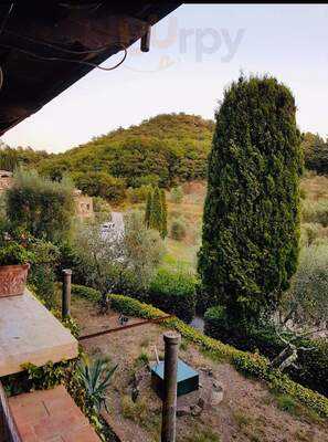 Foto 68597849