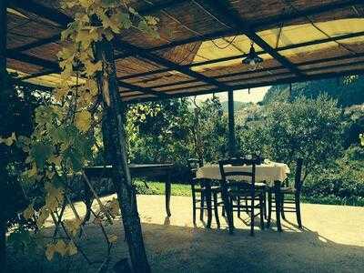 Foto 49350829