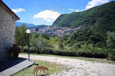 Foto 49350860