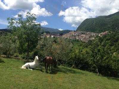 Foto 59973282